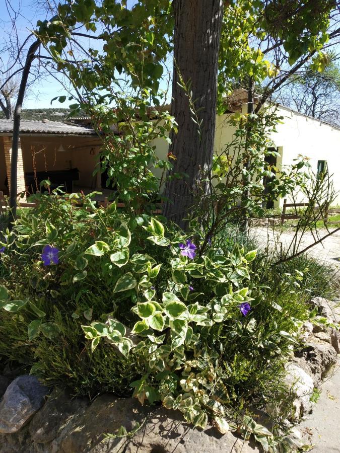 Camping Yaso-Guara Ngoại thất bức ảnh